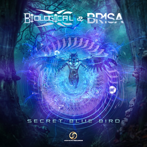 Secret Blue Bird - Single