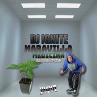 Maravilla Medicina (feat. Nacio Fuego) - Single - DJ Ignite
