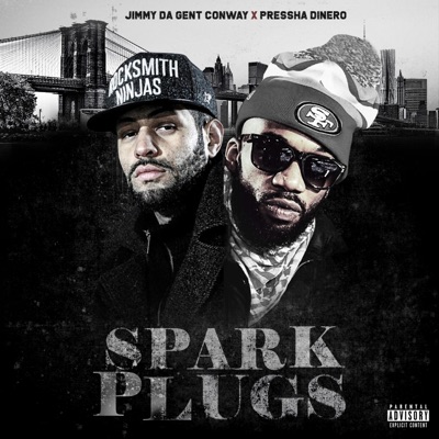Spark Plugs