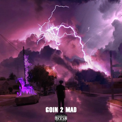 Goin 2 Mad - EP
