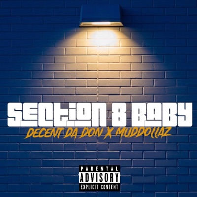 Section 8 Baby (feat. Muddollaz) - Single
