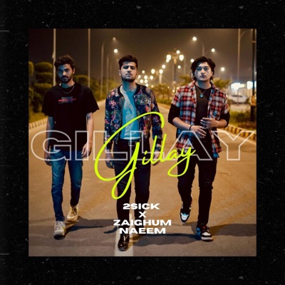 Gillay (feat. Zaighum Naeem) - Single