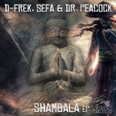 Shambala - EP artwork