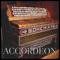 Accordeon - Rikelme Carlos lyrics