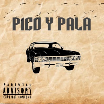 Pico Y Pala - Single