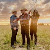 Disco en vivo con tololoche (En vivo) - Dinastia Oculta