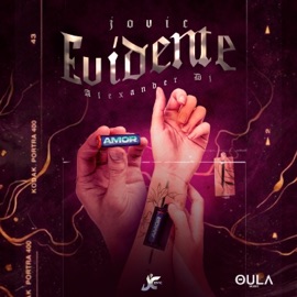 Evidente (feat. Alexander Dj) Jovic