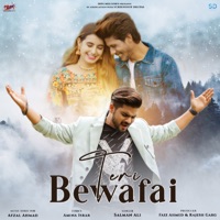 Teri Bewafai (feat. Mujassim Khan & Mateena Rajput) - Single - Salman Ali