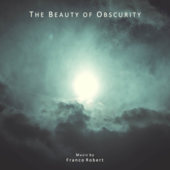 The Beauty of Obscurity - Franco Robert