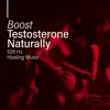 Stream & download Boost Testosterone Naturally (528 Hz Healing Music for Sensual and Intimate Erotic Moments, Tantra, Kamasutra and Sexual Meditation)