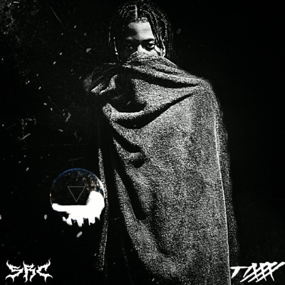 VISIONS (feat. T1000 Beats) - Single