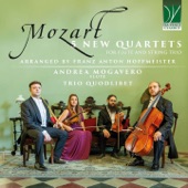 Quartet for Flute and String Trio No. 1 in F Major, K. 370 (Arr. Franz Anton Hoffmeister): I. Allegro artwork