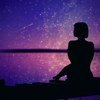 Journal Entry 1 - Single - Princess Pinup