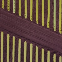 הנשמה שלי אבודה - Single - Guy Shwartz