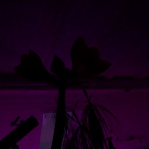 DSTNY (Underscore Rework)