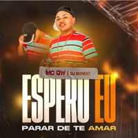 Espero Eu Parar de Te Amar - Single - MC QW
