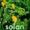 Solan - Jérome Fraissinet lyrics