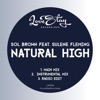 Natural High (feat. Sulene Fleming) [Radio Edit]