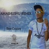 Amashushu (feat. Dj Noice Pace, Mgobicx, BlaqRose, Tiger Da Rapper, Clipperson & Mr KB) [Remix] - Single