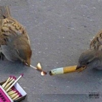Lifeless - Single - Youngmindtrip & Birdo