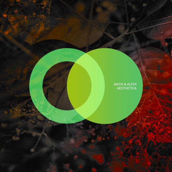 Aesthetica - Single