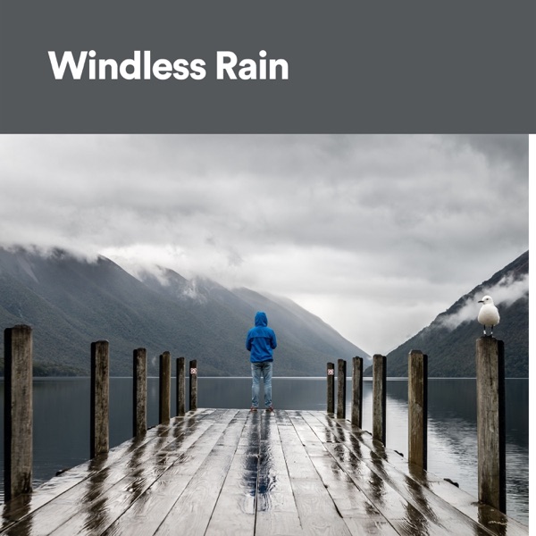 Windless Rain
