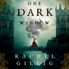 One Dark Window - Rachel Gillig