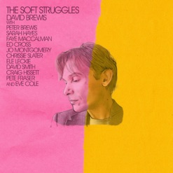 THE SOFT STRUGGLES cover art