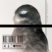 夜鸟 - Single - 迪力