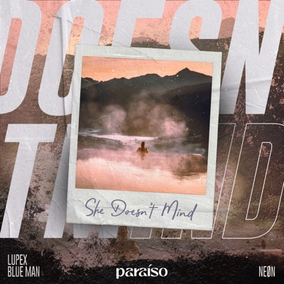 She Doesn't Mind - Single