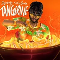 Tangerine (feat. Krizbeatz) - Single - jojobaby