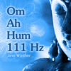 Om Ah Hum 111 Hz - Jane Winther