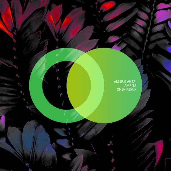 Amrita - Single