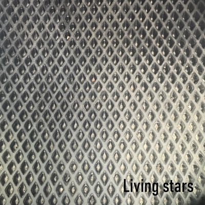 MESTA NET - Living stars