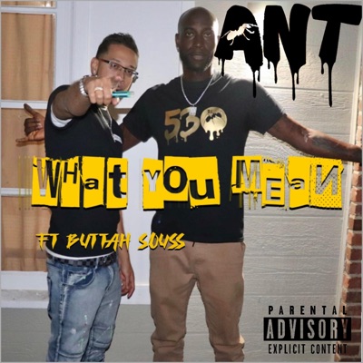 What You Mean - Single