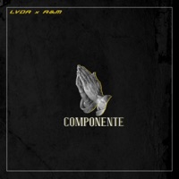 Componente (feat. A&M) - Single - Sebastian LVDA