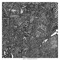 Conty (Scrase Remix) - Dgohn lyrics