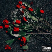 Por Vida Mixtape - YNG4L