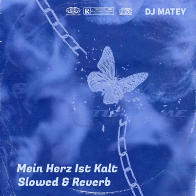 Kalt (Slowed & Reverb) (feat. Love Pact) - Single