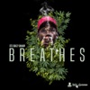 Breathes (Radio Edit) - Single