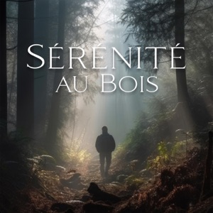 Sérénité au Bois: Méditation Guidée par les Sons de la Nature, Musique pour la Détente Profonde et le Calme Intérieur