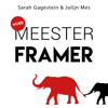 Word meesterframer - Sarah Gagestein & Jolijn Mes