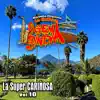 Mix de Gaytas 1