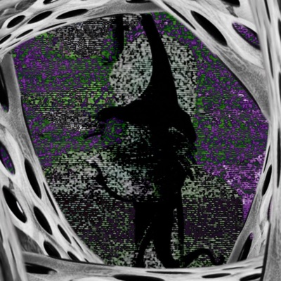 Gouge It Out - Single