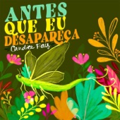 Antes Que Eu Desapareça artwork