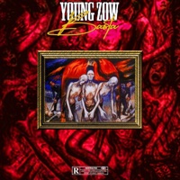 Basta - Single - Young Zow