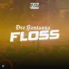 Stream & download Floss - Single