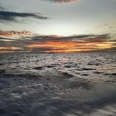 sun is up (feat. Kurotaro) - Single