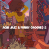 Acid Jazz & Funky Grooves 2 - Verschiedene Interpret:innen