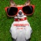 Hurt Nobody (Freestyle Mogwai Refix) - DJ Gizmo lyrics